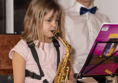Musikdarbietung bei der Vernissage in der Galerie im Lerchhaus